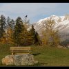 20131105_0072